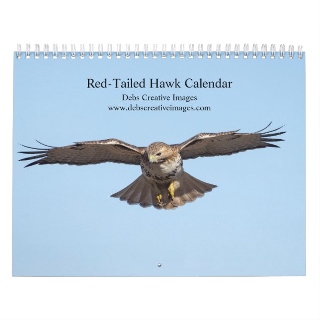 2023 Red-Tailed Hawk in the Hudson Valley Calendar (Cover)