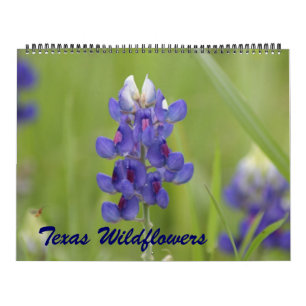 2023 Texas Wildflowers Calendar