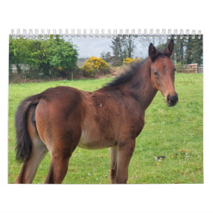 2023 Thoroughbred Mares and Foals Calendar 