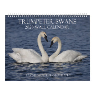 2023 Trumpeter Swan Wall Calendar