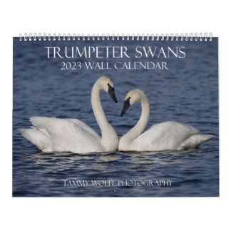 2023 Trumpeter Swan Wall Calendar