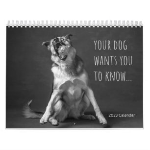 2023 Wall Calendar - Dog Humor