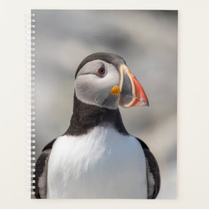 2024 Atlantic Puffin in Maine Planner