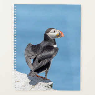 2024 Atlantic Puffin in Maine Planner