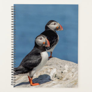 2024 Atlantic Puffins in Maine Planner