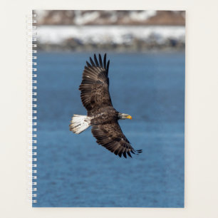 2024 Bald Eagle Planner