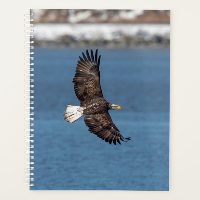 2024 Bald Eagle Planner (Front)