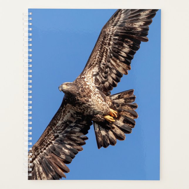 2024 Bald Eagle Planner (Front)