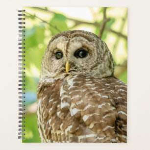 2024 Barred Owl Planner