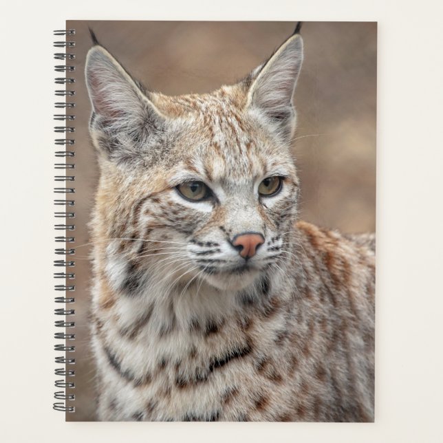 2024 Bobcat in New Jersey Planner (Front)