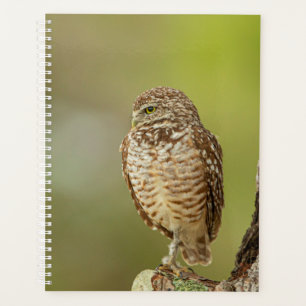 2024 Burrowing Owl Planner