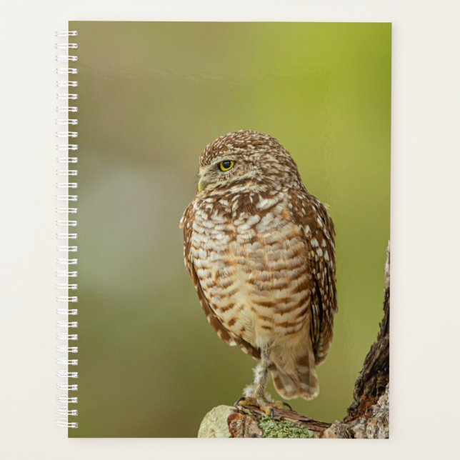 2024 Burrowing Owl Planner (Front)