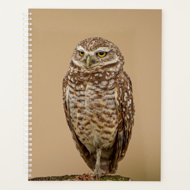 2024 Burrowing Owl Planner (Front)