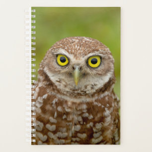 2024 Burrowing Owl Planner