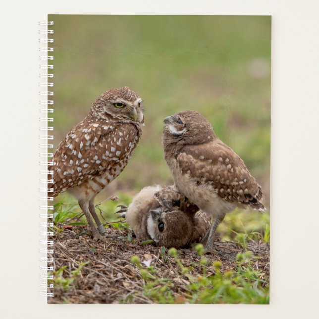 2024 Burrowing Owls Planner (Front)