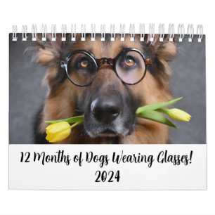 2024 Calendar 12 Months of Dogs Wearing Glasses