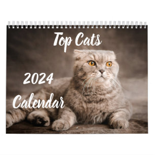 2024 Calendar Top Cats UK Events & Holidays