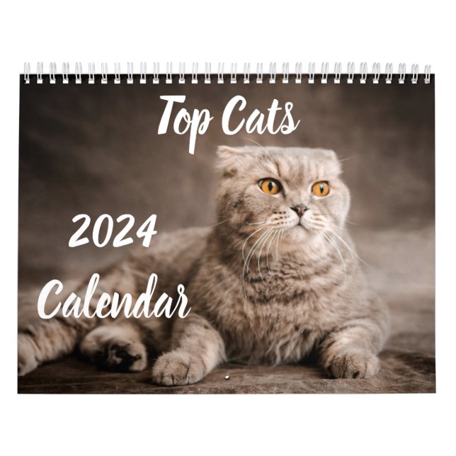 2024 Calendar Top Cats UK Events & Holidays (Cover)