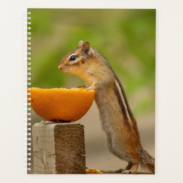 2024 Chipmunk in the Adirondacks Planner (Front)