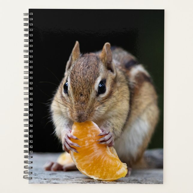 2024 Chipmunk in the Adirondacks Planner (Front)