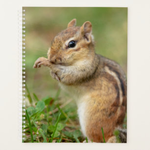 2024 Chipmunk in the Adirondacks Planner