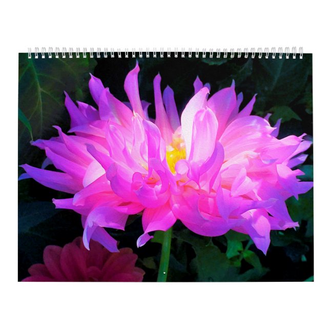 2024 Dahlia Flowers Calendar (Cover)