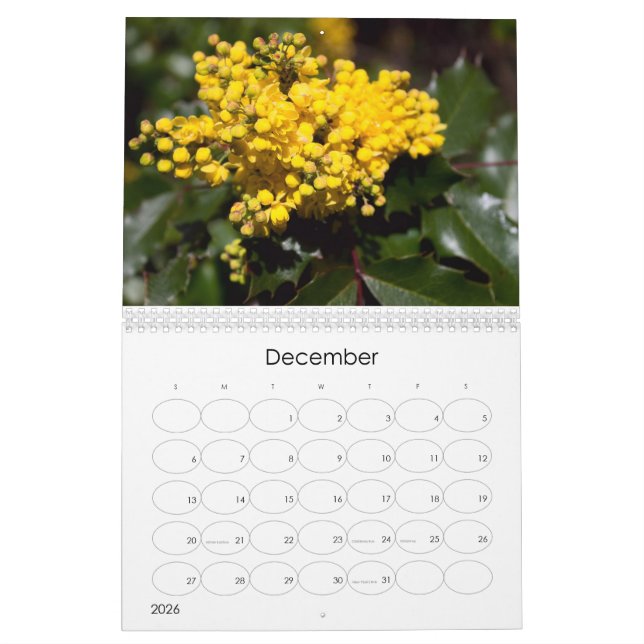 2024 Floral Explosion Calendar (Dec 2026)