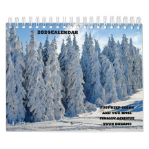 2024 four seasons forest