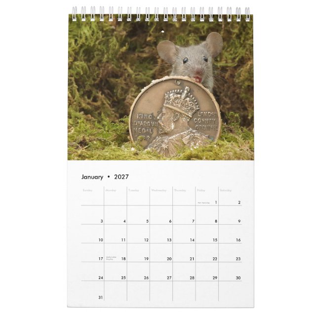 2024 George the mouse in a log pile house  Calendar (Jan 2027)