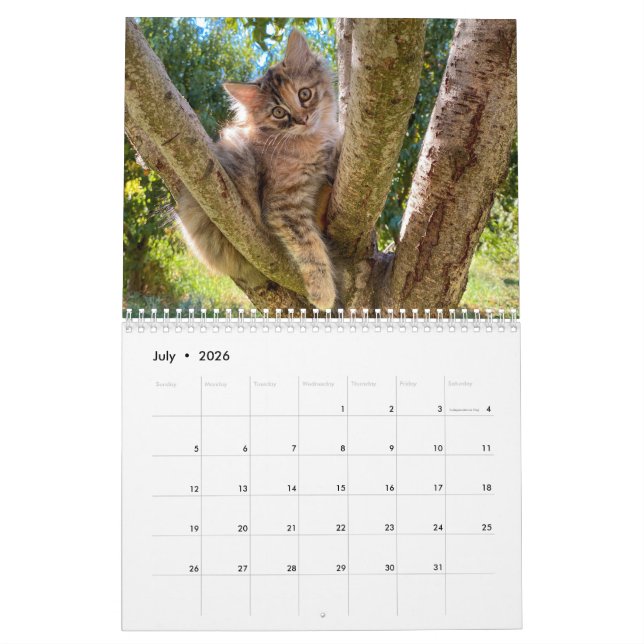 2024 Monthly Wall Cat Calendar (Jul 2026)