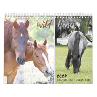 2024 Mustang Mission's Wild Horses - Calendar