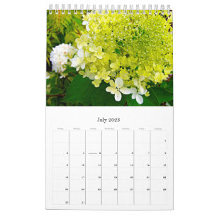 2024 My Rubio Garden Elegant Hydrangeas Calendar