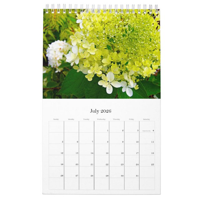 2024 My Rubio Garden Elegant Hydrangeas Calendar (Jul 2026)