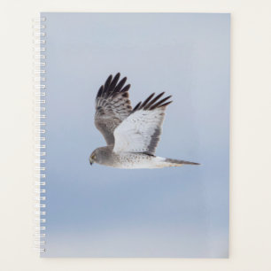 2024 Northern Harrier Hawk Planner