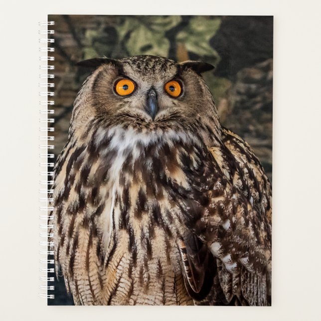 2024 Owl Planner (Front)