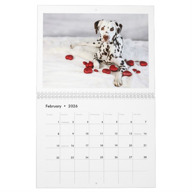 2024 Peace Love & Chocolate Dalmatian Calendar (Feb 2026)