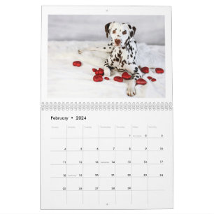 2024 Peace Love & Chocolate Dalmatian Calendar