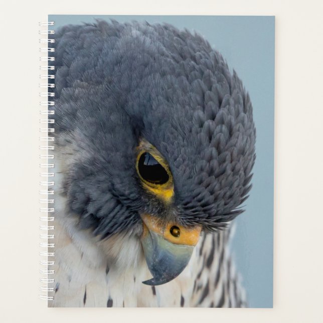 2024 Peregrine Falcon Planner (Front)