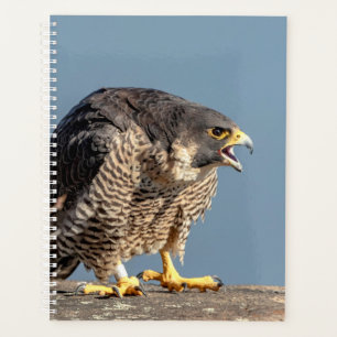 2024 Peregrine Falcon Planner