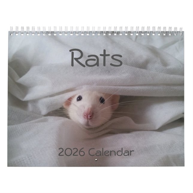 2024 Pet Rat Calendar (Cover)