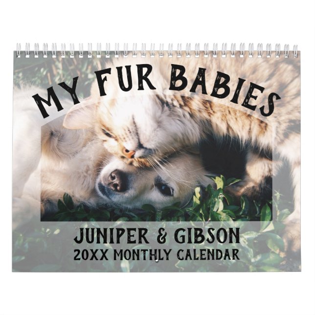 2024 Photo Calendar: Fur Babies, Pets, Cats, Dogs Calendar (Cover)