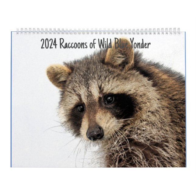 2024 Raccoons of Wild Blue Yonder Calendar (Cover)