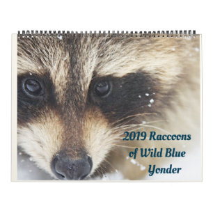2024 Raccoons of Wild Blue Yonder Wildlife Rescue Calendar