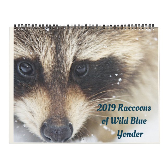 2024 Raccoons of Wild Blue Yonder Wildlife Rescue Calendar (Cover)