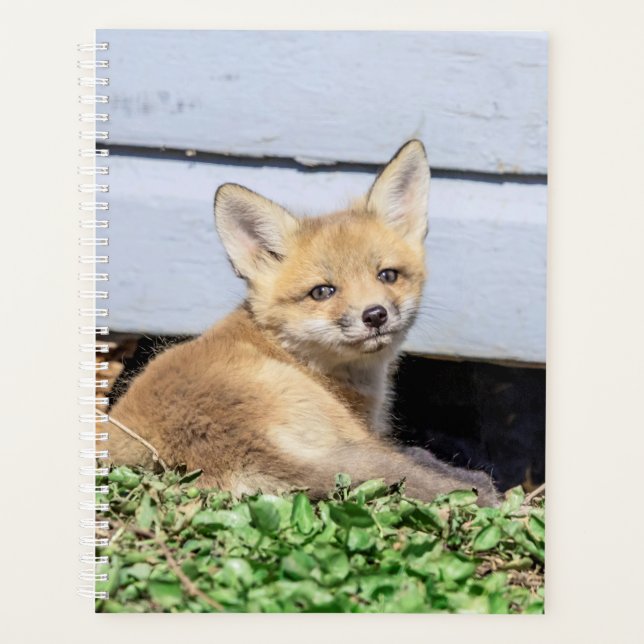 2024 Red Fox Kit Planner (Front)