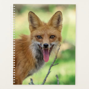 2024 Red Fox Planner