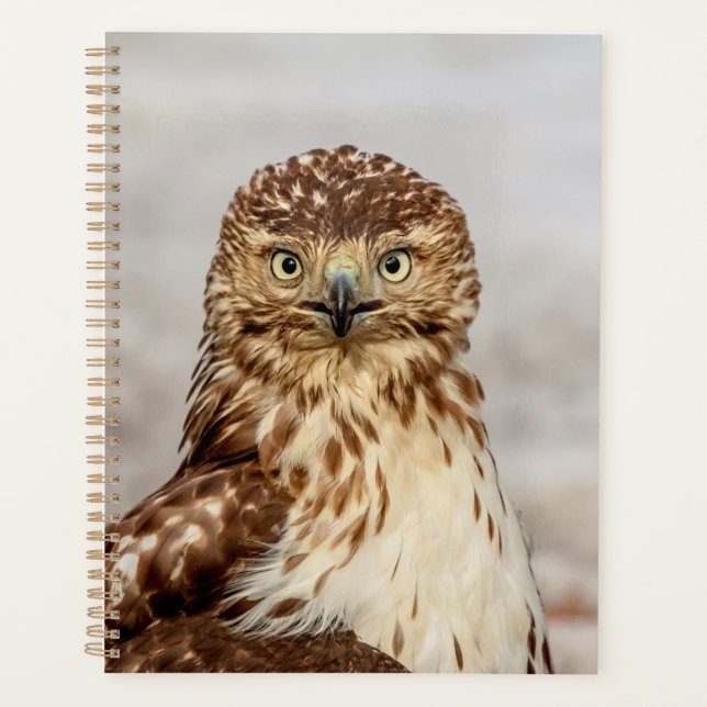 2024 Red-Tailed Hawk Planner (Front)