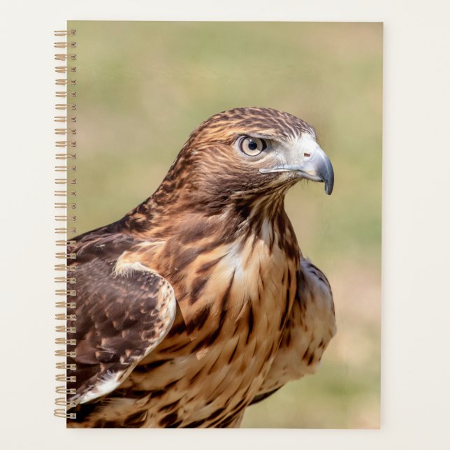 2024 Red-Tailed Hawk Planner (Front)