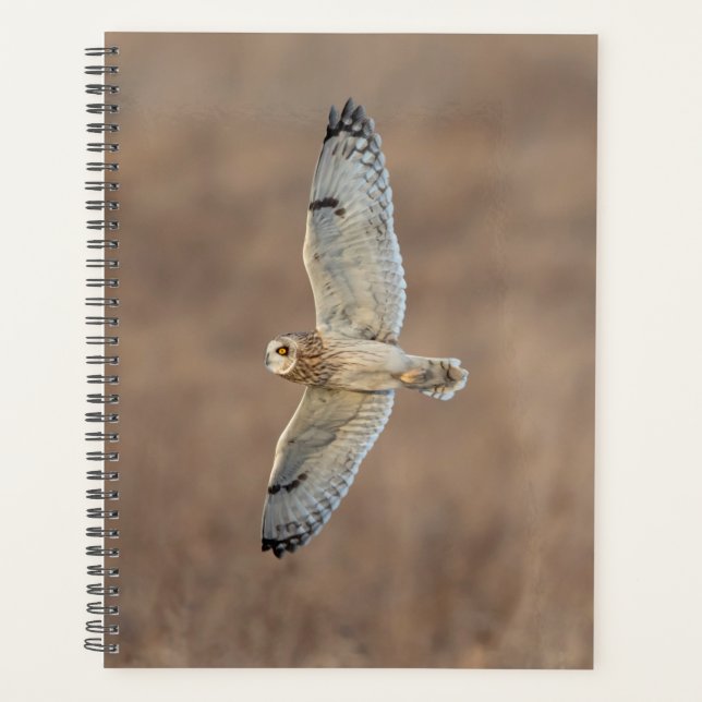 2024 Short-Eared Owl Planner (Front)