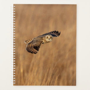 2024 Short-Eared Owl Planner